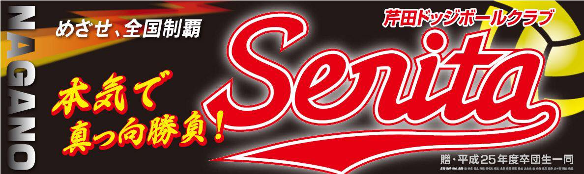 Serita Dodgeball Club